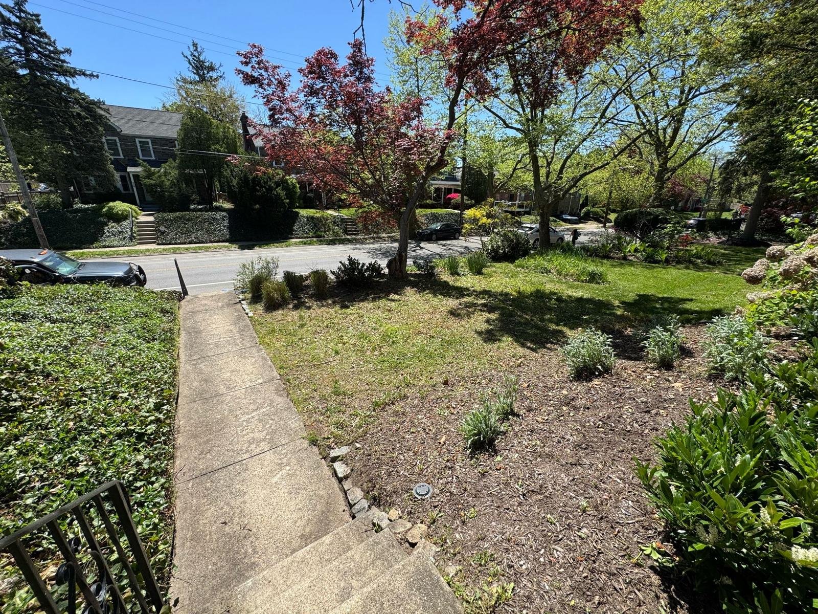 Yard cleanup work by Green Force Property Services